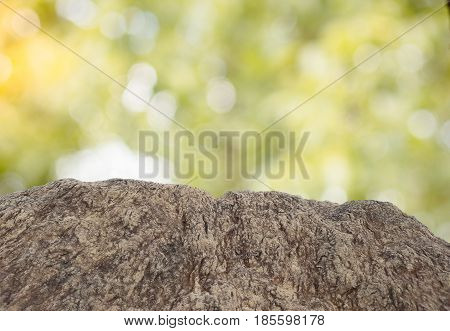 Overall feeling is a calm peaceful tranquil serene and wild background,Stone texture background; natural rock texture. Abstract background and texture for designers.