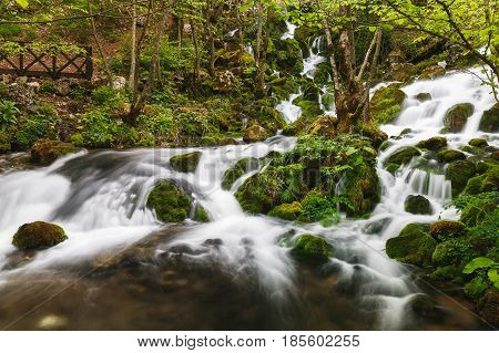 River spring with cascade in the forest surrounded by rocks and moss,  travel destination, Grza, Paracin, Serbia