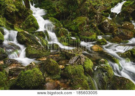 Moss covered stones in an river during springtime