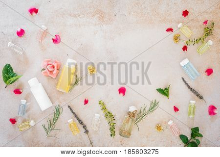 Various skincare oils,   fresh medicinal herbs  and flowers, for spa treatment, on concrete. Top view, blank space
