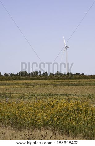 Vertical landscape of a wind turbine in a farmer's field near Windsor, Ontario with the moon visible on a sunny late afternoon in September.