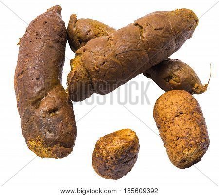 Cat Poop Pieces Isolated On White Background