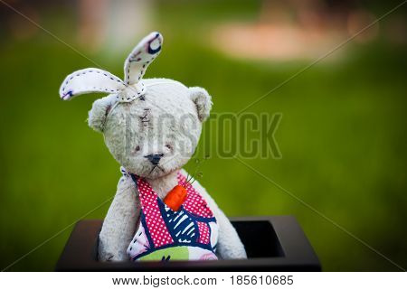White aged teddy bear  with small carrot