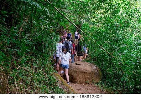 MANOA FALLS, HAWAII - FEBRUARY 20, 2016: An overwhelming crowd of people on the trail to Manoa Falls in Oahu Hawaii.