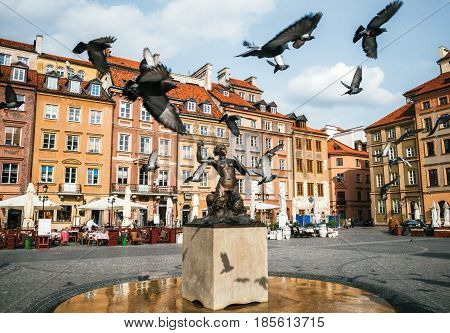 Birds of pigeons are flying through Stare Miasto Old Town Market Square with Mermaid Syrena Statue in the center of Warsaw Poland.