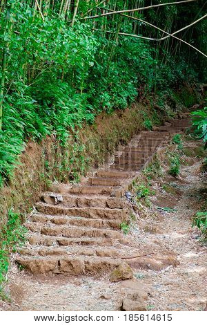 Rock staircase along the Manoa Falls Trail in Oahu Hawaii.