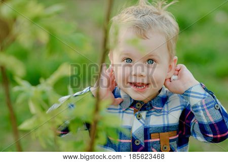 A happy boy of two years is happy and laughs with his hands clasped to his ears - he listens. Portrait, blond, expressive blue eyes. A boy in a spring green garden, ridden with a bush. The child has a checkered shirt