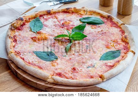 Pizza Margarita with cheese tomatoes sauce and Basil