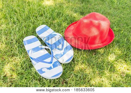 Enyojing on beautiful grass meadow