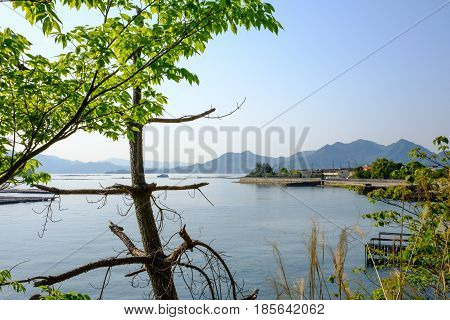 Inland sea near Hiroshima with vegetation and oyster racks