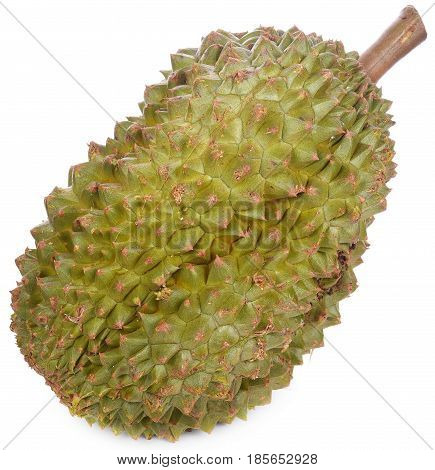 Durian isolated on white background.pulp, top, isolated, tropical, wooden, mountain, long, cat