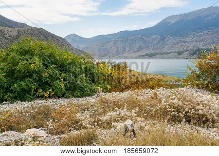 Tortum Lake. Erzurum Province, Turkey