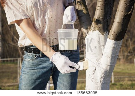Spring Protection Of Fruit Trees In The Garden