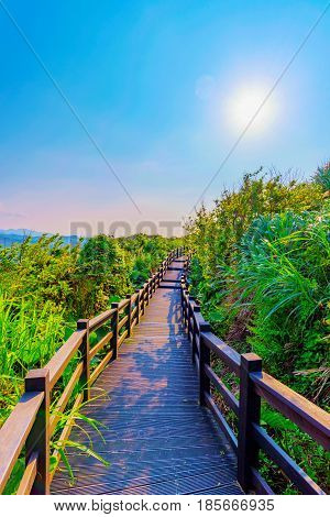 View of a mountain path with sunlight and nature in Taiwan