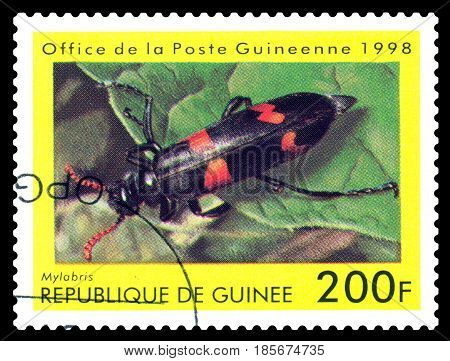 STAVROPOL RUSSIA - April 30 2017: a stamp printed in Guinea (Republique de Guinee) shows Beetle Mylabris series beetle circa 1998
