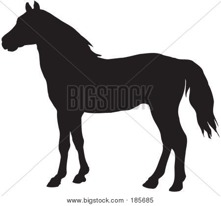 Hest Stop