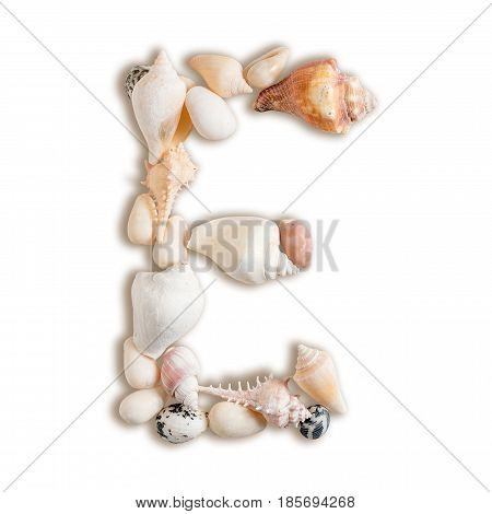 various sea shells capital E on isolated white background with clipping path.