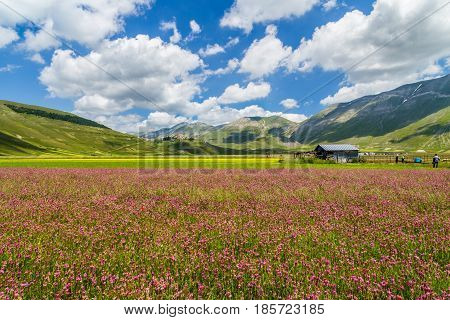 Piano Grande Mountain Plateau, Umbria, Italy