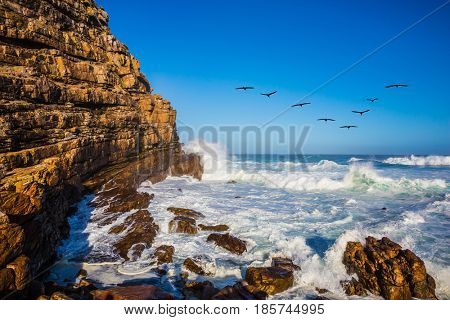 Powerful ocean surf in the Atlantic Ocean. The Cape of Good Hope - the most extreme southwest point of Africa. Pack of migratory birds at sunset. The concept of active tourism