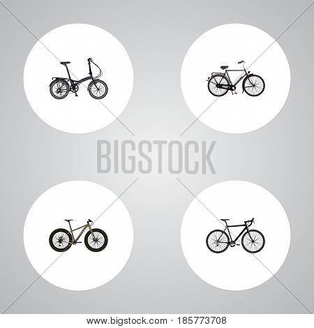 Realistic Folding Sport-Cycle, Cyclocross Drive, Training Vehicle And Other Vector Elements. Set Of Lifestyle Realistic Symbols Also Includes Velocipede, Cyclocross, Folding Objects.