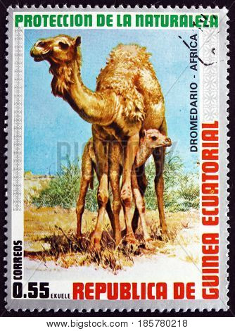 EQUATORIAL GUINEA - CIRCA 1974: a stamp printed in Equatorial Guinea shows Dromedary Camelus Dromedarius Animal circa 1974