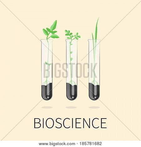 Bioscience vector concept: Laboratory glassware with soil and plant. Flat design illustration on color background. - stock vector