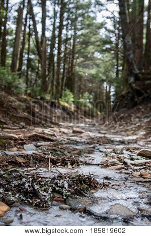 Low Angle View Of Trail With Ice