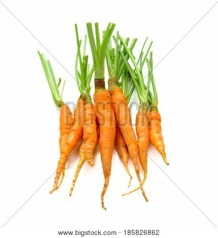 Young carrot on white background. fresh fruit and vegetables are always healthy