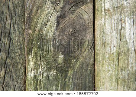 Old wood (granary board) grunge wooden background