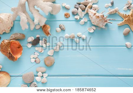 Seashells on blue wood, sea vacation background with copy space on wooden planks, top view