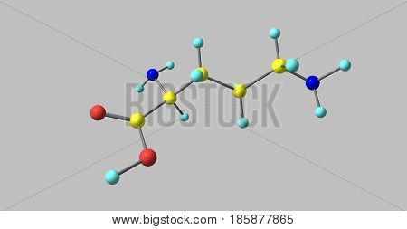 Ornithine is a non-proteinogenic amino acid that plays a role in the urea cycle. Ornithine is abnormally accumulated in the body in ornithine transcarbamylase deficiency. 3d illustration