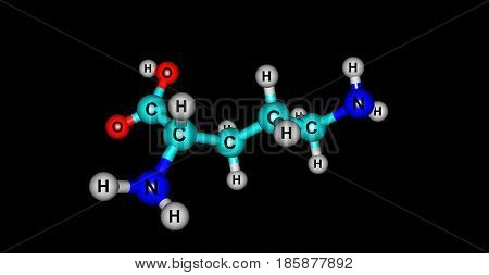Ornithine is a non-proteinogenic amino acid that plays a role in the urea cycle. Ornithine is abnormally accumulated in the body in ornithine transcarbamylase deficiency. 3d illustration