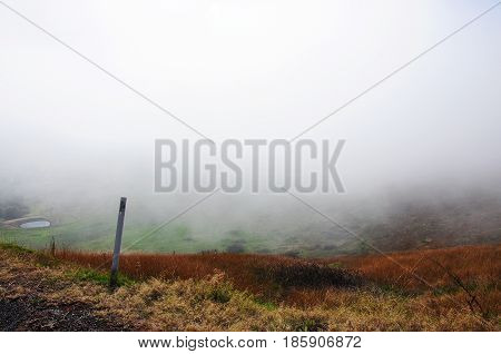 A view of a cold foggy morning at Tallangatta hill with red and yellowish grass caused by fire and dry weather.