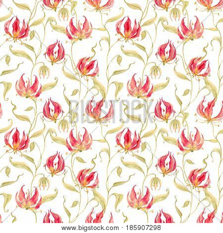 Beautiful pattern with watercolor gloriosa rothschildiana flowers