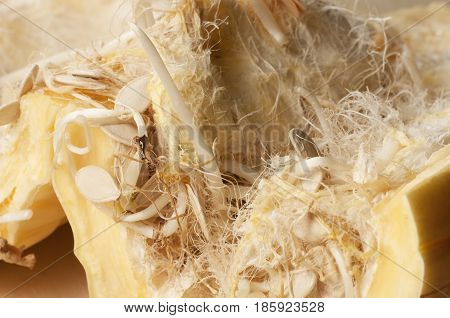 Old marrow with seedlings inside- close up shot