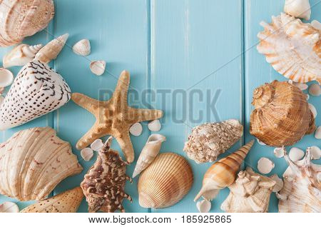 Sea vacation. Seashells frame on blue wood background with copy space on wooden planks, top view