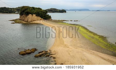 Angel road in shodoshima island, spring Japan