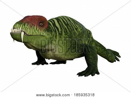 3D Rendering Dinosaur Doliosauriscus On White