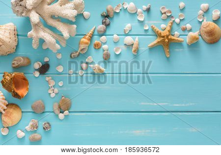 Seashells on blue wood, sea vacation background with copy space on wooden planks, top view