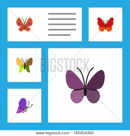 Vector y foto Flat Moth Set (prueba gratis) | Bigstock