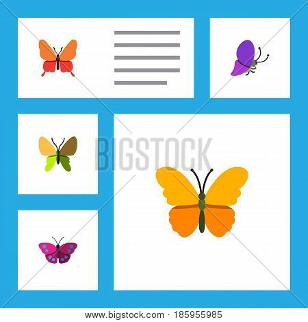 Flat Moth Set Of Danaus Plexippus, Beauty Fly, Archippus And Other Vector Objects. Also Includes Archippus, Moth, Monarch Elements.