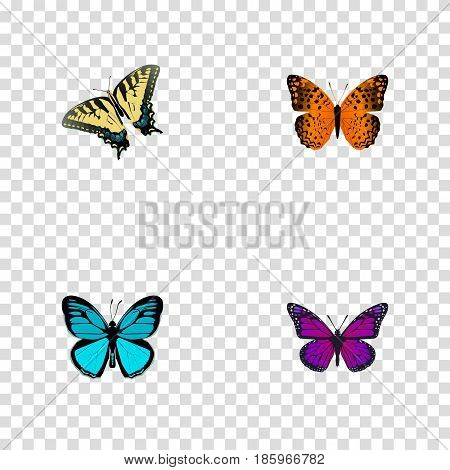 Realistic Sky Animal, Danaus Plexippus, Purple Monarch And Other Vector Elements. Set Of Beauty Realistic Symbols Also Includes Purple, Blue, Butterfly Objects.