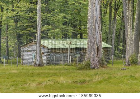 Rustic House At Forest, Patagonia - Argentina