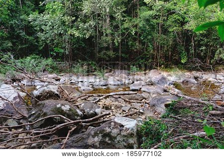 Thai dark tropical forest and rapid mountain river in Mu Koh Chang National Park, Chang island, Thailand. Path to the Khlong Phlu waterfall is littered with dry branches. Natural background.
