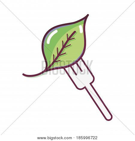 fresh leaf to prepair natural salad, vector illustration