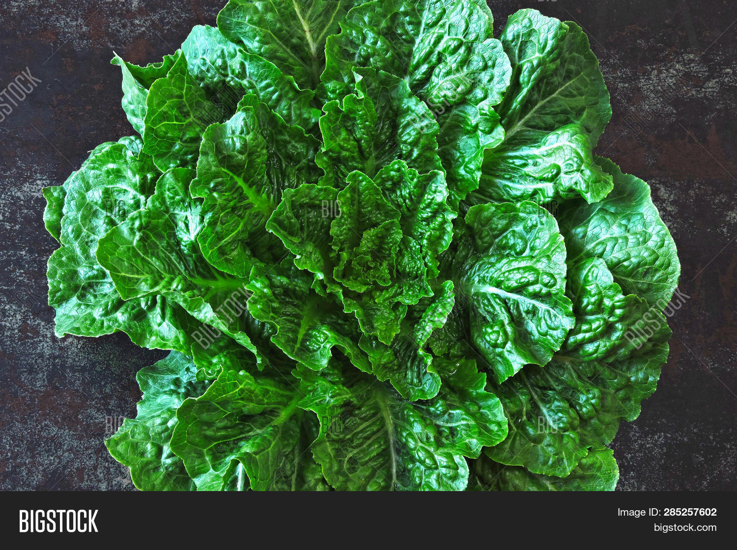 Fresh Green Romaine Image & Photo (Free Trial) Bigstock