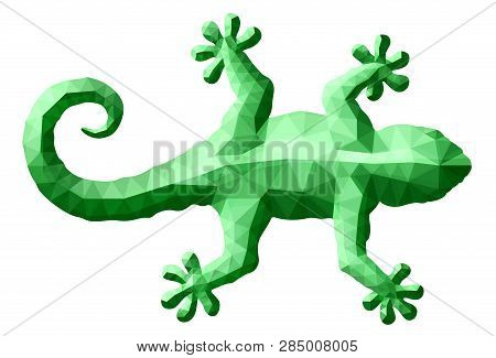 Beautiful Low Poly Illustration With Green Gecko Silhouette On White Background
