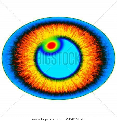 Rentgen Photo. Isolated Elliptic Animal Eye