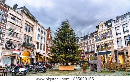 Christmas Tree At The Plaats Square In The Hague - The Netherlands, Western Europe