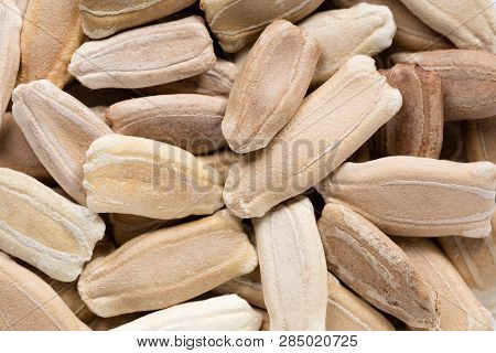High Quality Seeds Of Lagenaria, Pumpkin In A Texture Form For Your Garden. Can Be Used By Seed Prod